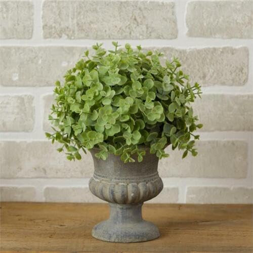 New French Country Cottage Farmhouse Eucalyptus Ball Topiary URN Plant Pot 10" | Amazon (US)