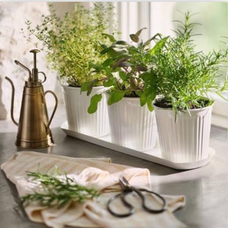 Hearth and Hand by Joanna Gaines for Target garden collection. Kitchen windowsill planters, watering cans, garden shears, planters, gardening accessories by Smith &  Hawken, Mother’s Day gifts. 

#LTKGiftGuide #LTKunder50 #LTKhome
