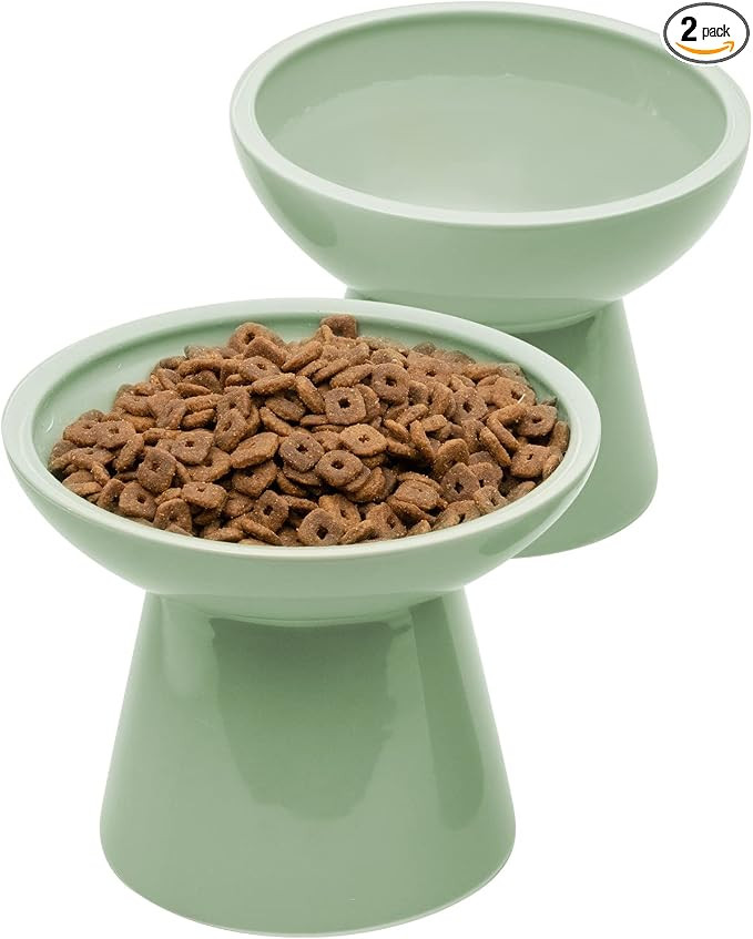 CEEFU 2 Elevated Ceramic Cat Bowls Extra Wide for Food & Water – Whisker Fatigue Shallow Food D... | Amazon (US)
