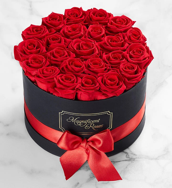 Magnificent Roses® Preserved Red Roses | 1800flowers.com