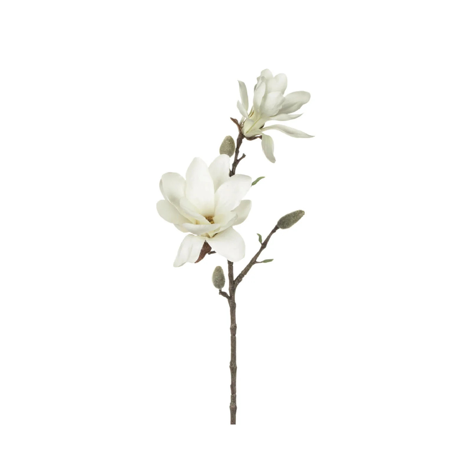 White Magnolia Stem | Brooke & Lou | Brooke and Lou