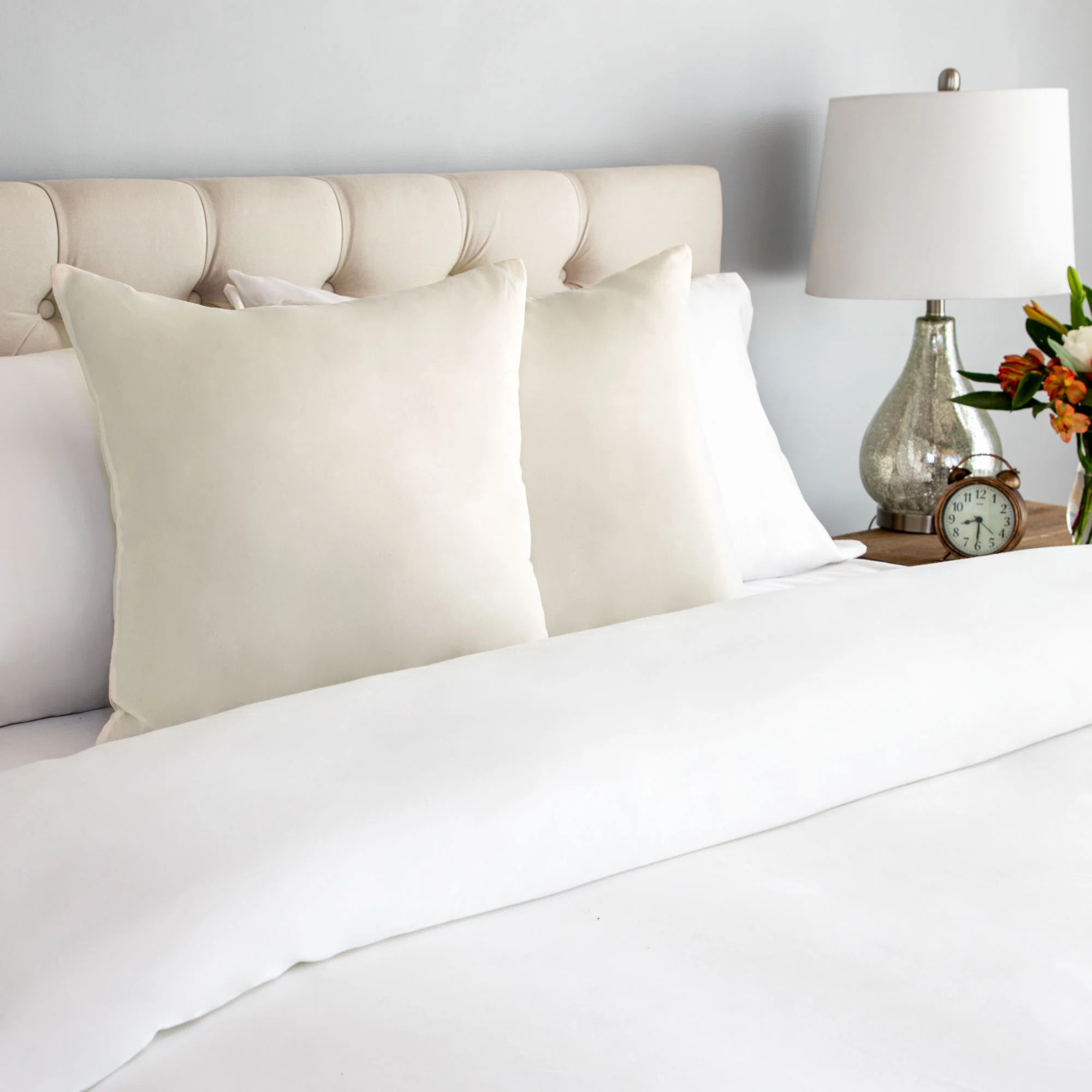 Reversible Pillow Insert (Set of 2) | Wayfair North America