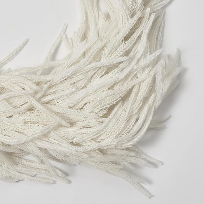 Norfolk Collection - Real Touch White Norfolk Pine Christmas Holiday Garland, Indoor or Outdoor (... | Amazon (US)