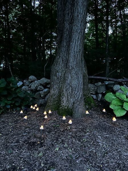 Outdoor solar mushroom lights 