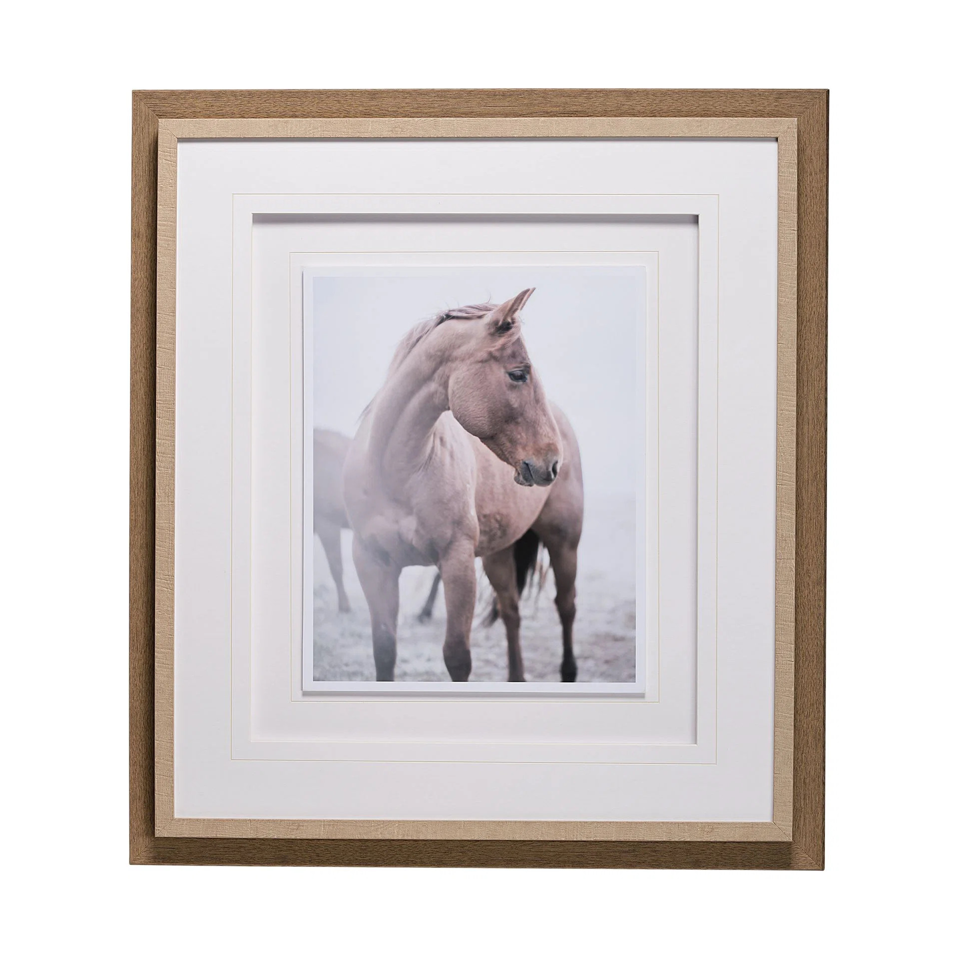 Horse 9 by Chris Dunker a Framed Art Print Matted under Glass | Wayfair North America