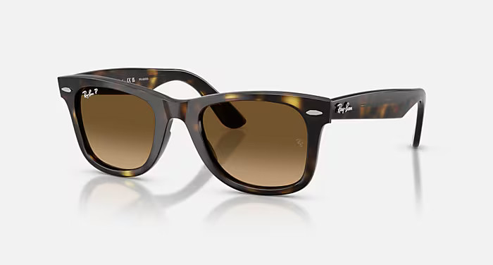 WAYFARER EASE | Ray-Ban (EU)