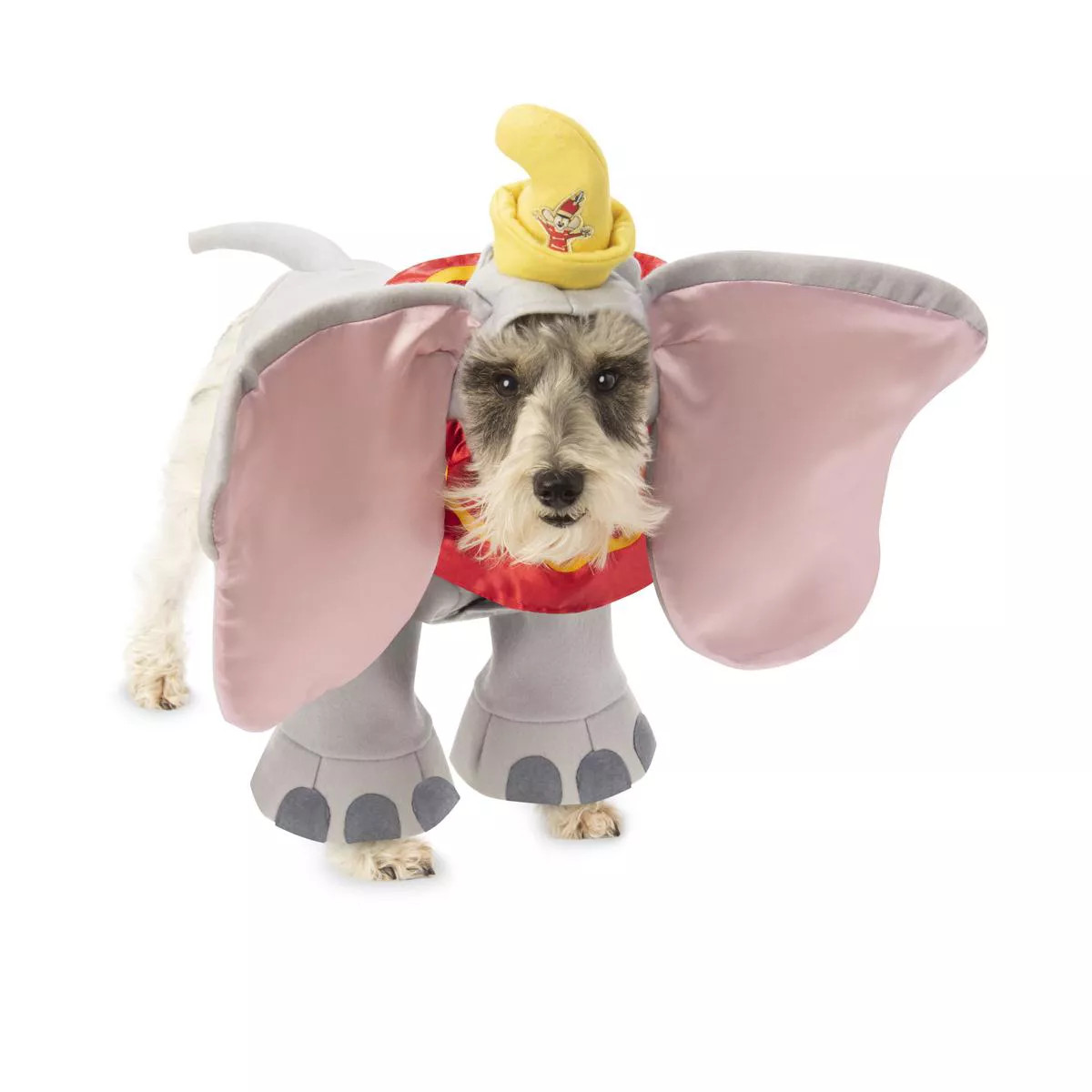 Dumbo Dumbo Pet Costume, X-Large | Target