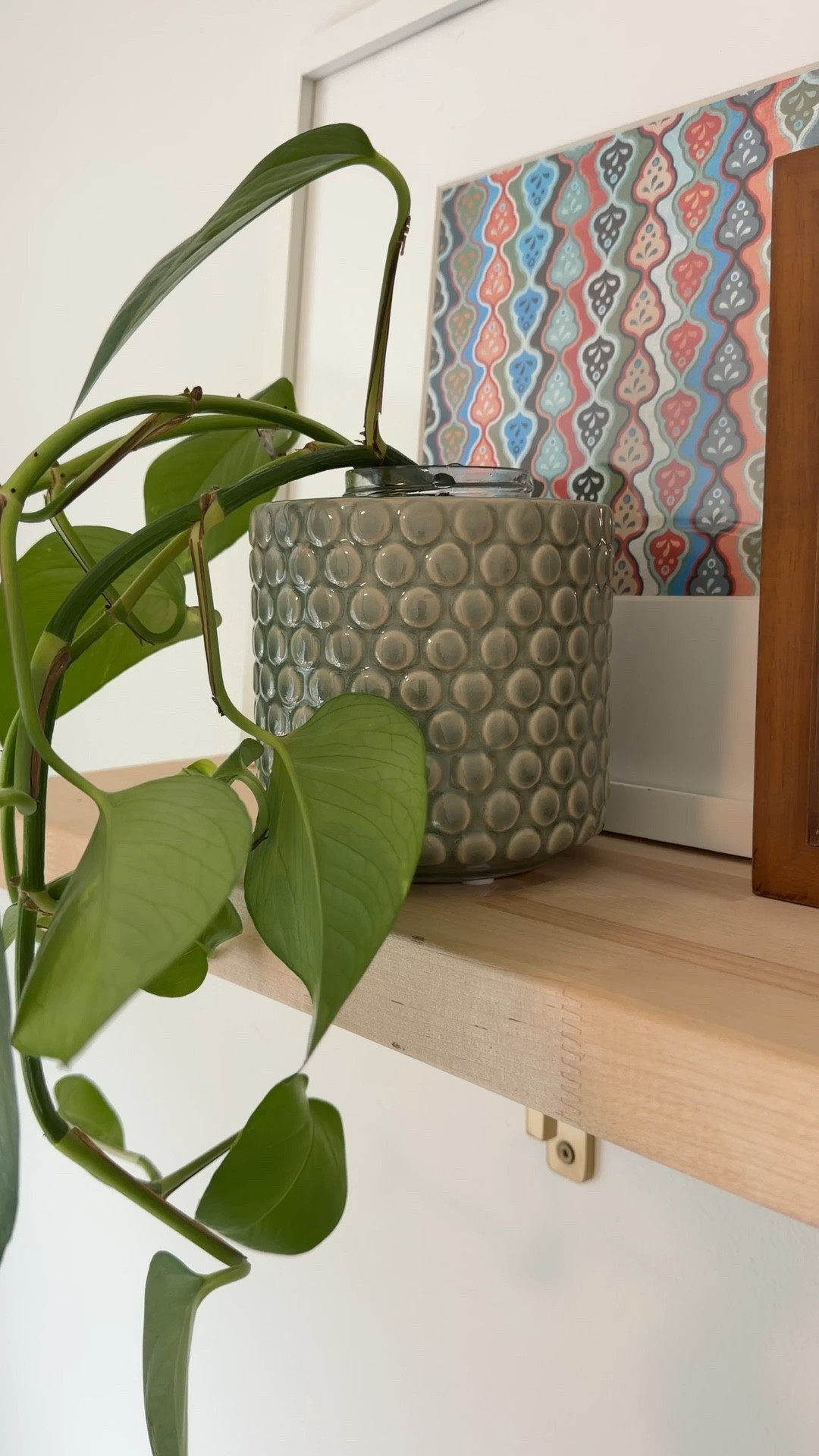 Such a cute little find! 🌿 This Bloomingville polka dot stoneware planter is the prettiest blue green color and works perfectly as either a plant pot or a small vase. I currently have some pothos cuttings rooting in it, and the wide opening makes it great for plant propagation too. One of those simple pieces that adds a little charm to a shelf or windowsill. ✨

#LTKSaleAlert #LTKHome #LTKspring