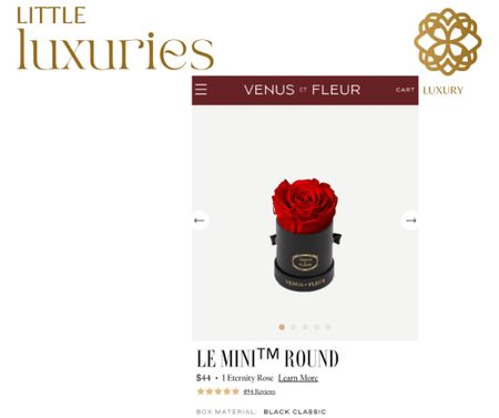 The le mini round is the perfect gift for you or anyone you know who loves flowers. This lovely rose will last around one year for under $50!

#LTKGiftGuide #LTKHoliday #LTKunder50