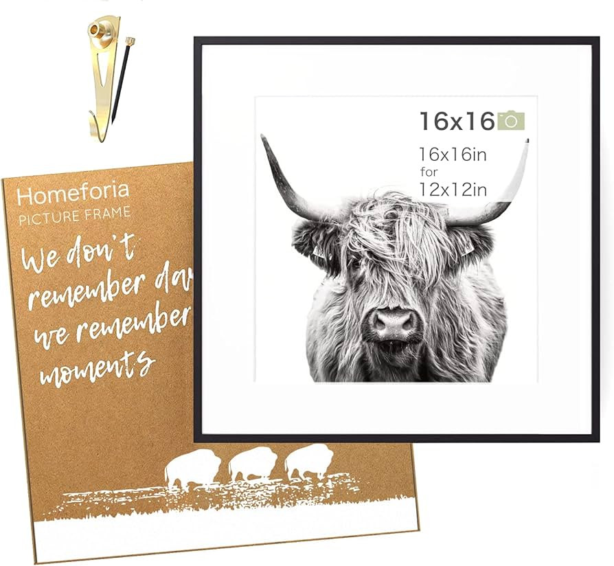 Homeforia 16x16 inch Square Picture Frame - 16 X 16 Frame Matted To 12x12 - Standard Square Photo Fr | Amazon (US)