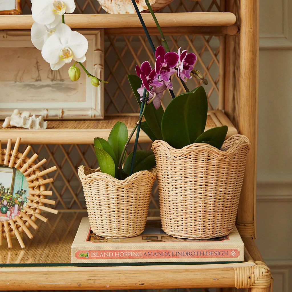 Wavy Wicker Orchid Baskets Large, Set of 3 | Amanda Lindroth