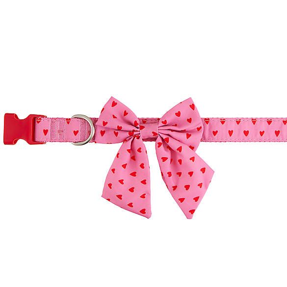 Top Paw® Valentine's Day Red Heart with Bow Dog Collar | PetSmart