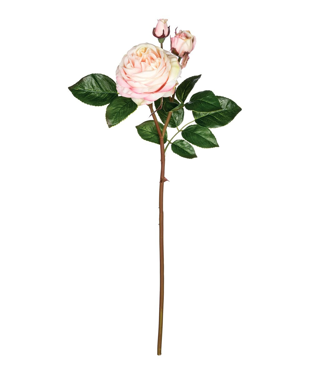 Rose Stem | Zulily