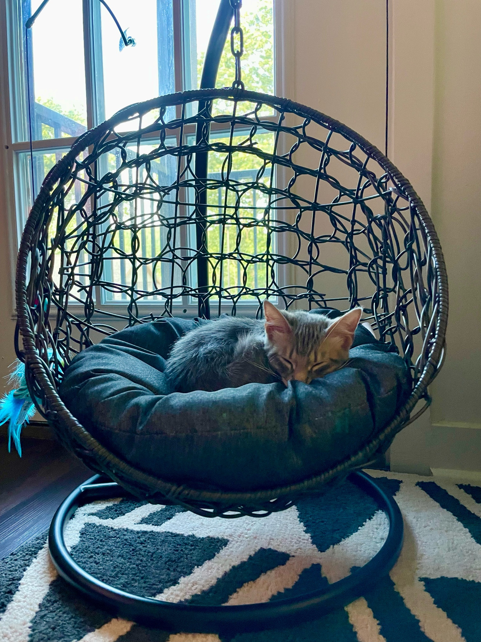 exact same as pictured just doesn’t swing🫶🏼 she loves it! 

#LTKhome #LTKFind #LTKU