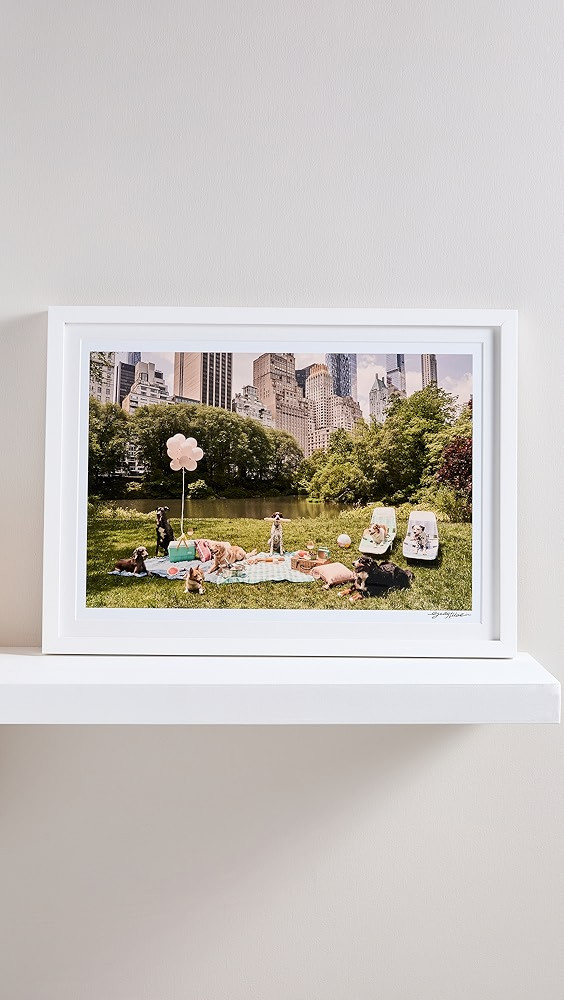 Gray Malin | Shopbop