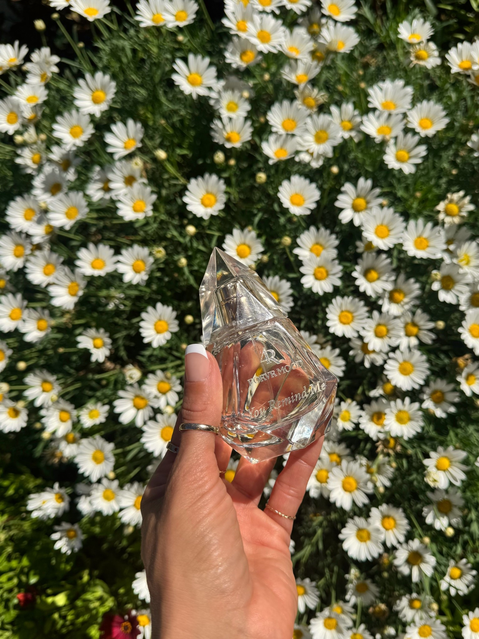 My go to scent lately floral but warm! I get so many compliments ✨