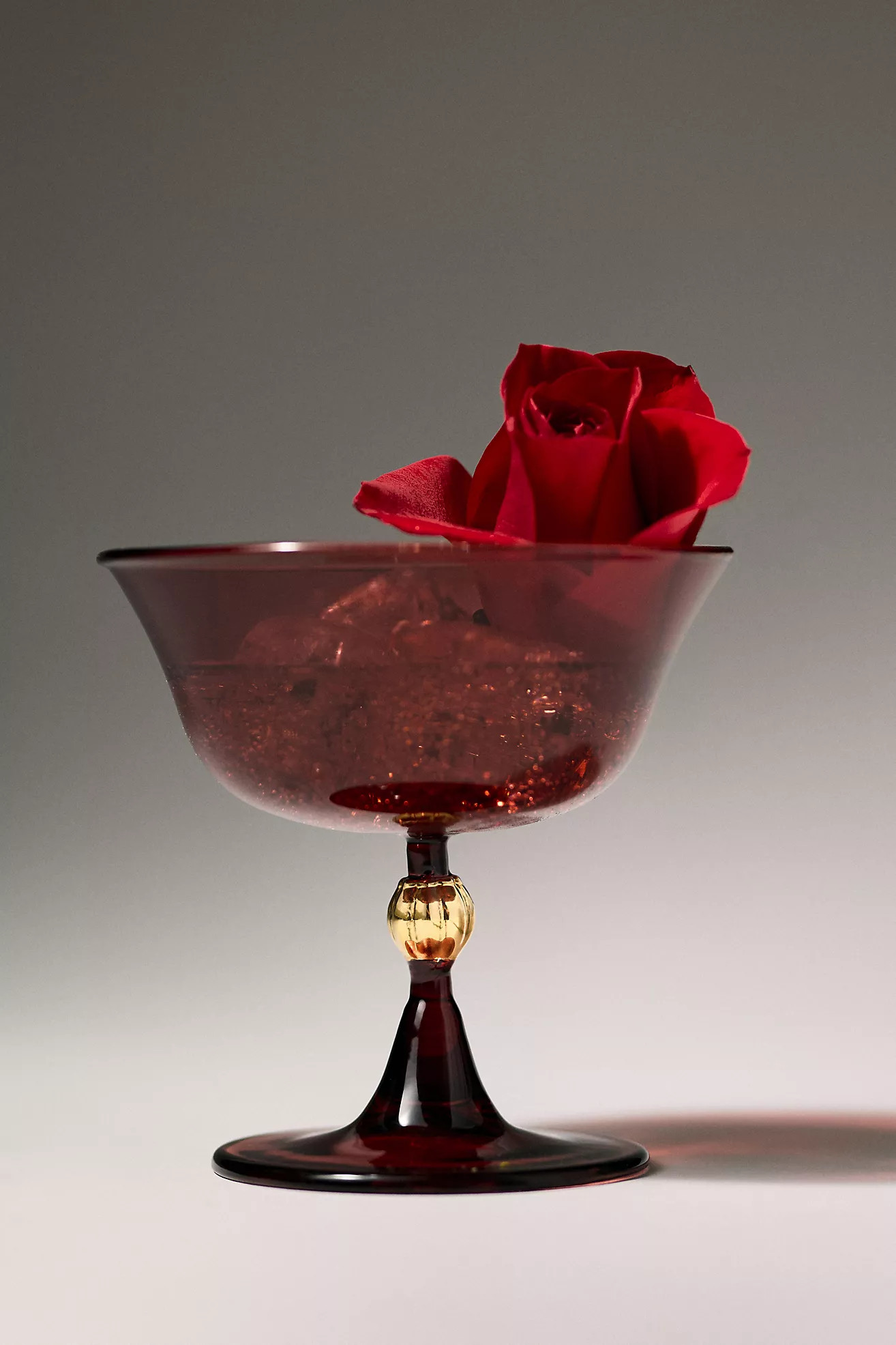 Catherine Martin Midnight Creatures Coupe Glass | Anthropologie (US)