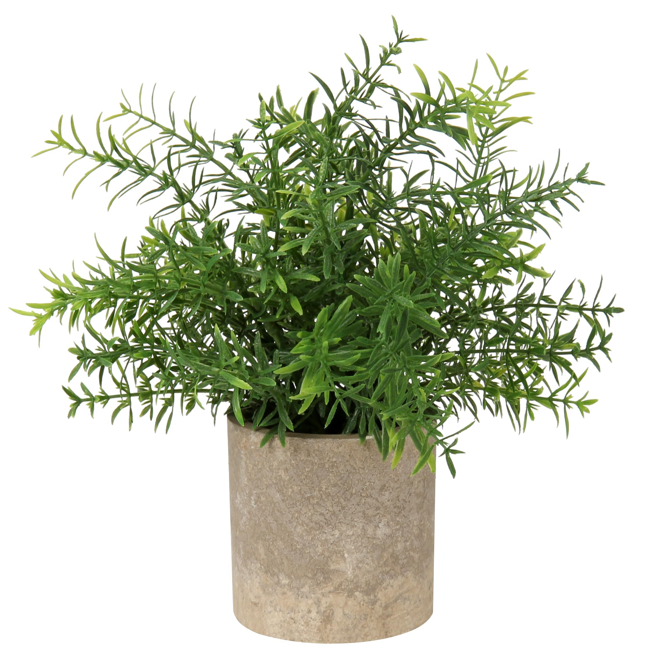 Briful Small Fake Plants Artificial Mini Potted Silk Plants Faux Rosemary Decorative Plants for H... | Amazon (US)