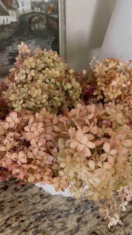 Dried hydrangeas for Fall. Fall decorating, home decor ideas, centerpiece, vase styling, seasonal decor, kitchen decor, living room decor

#LTKSeasonal #LTKhome #LTKstyletip