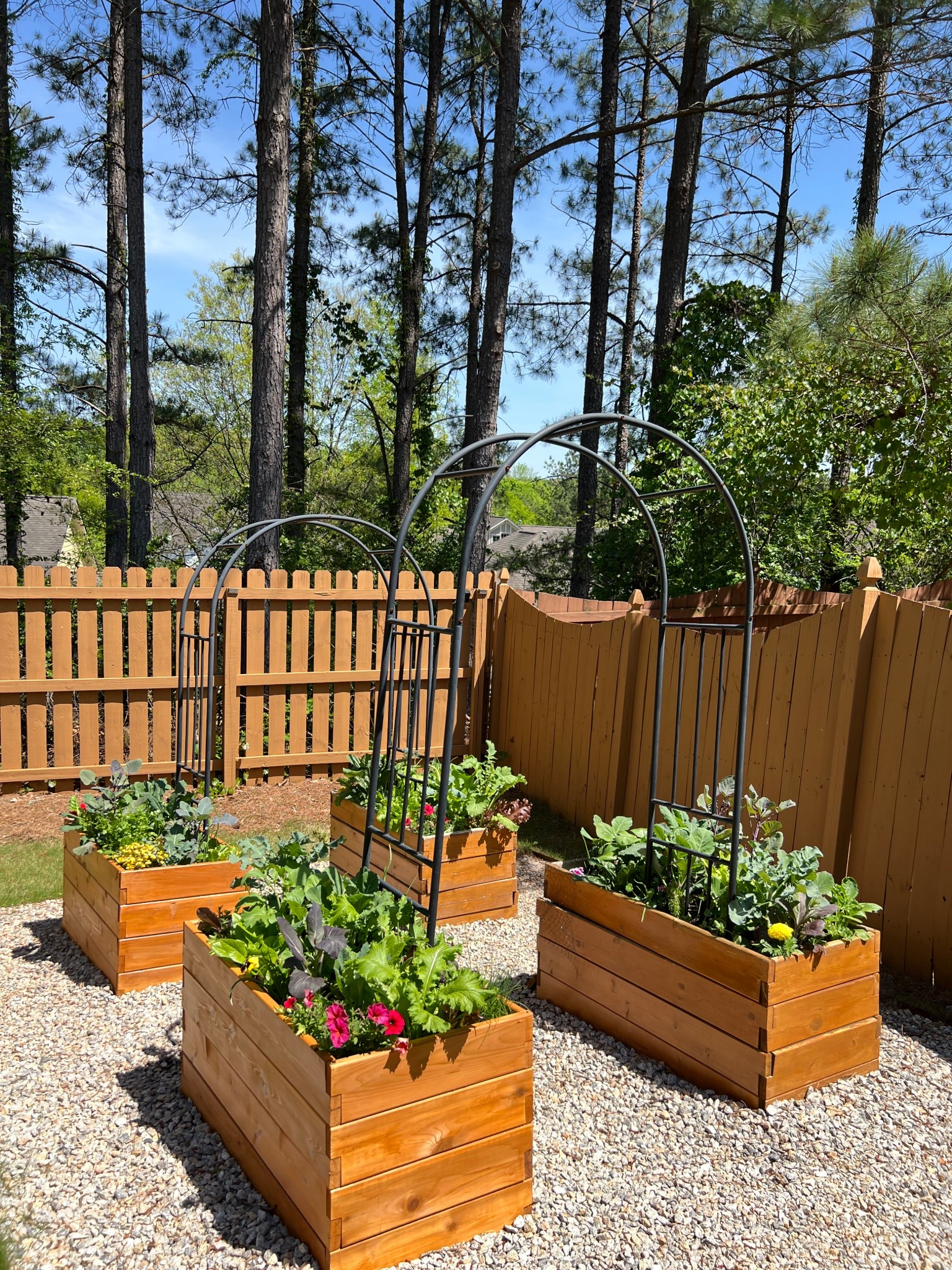 Spring garden views! 


Gardening, garden arbor, spring, active, outside, raised bed garden, garden trellis, garden arch 

#LTKSeasonal #LTKHome #LTKSaleAlert