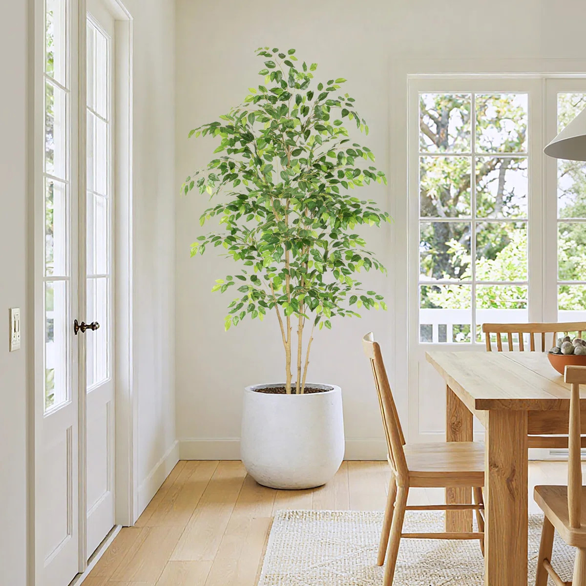 Ficus Tree Artificial in Pot with Full and Vibrant Leaves and Realistic Trunk for home Decor. | Wayfair North America