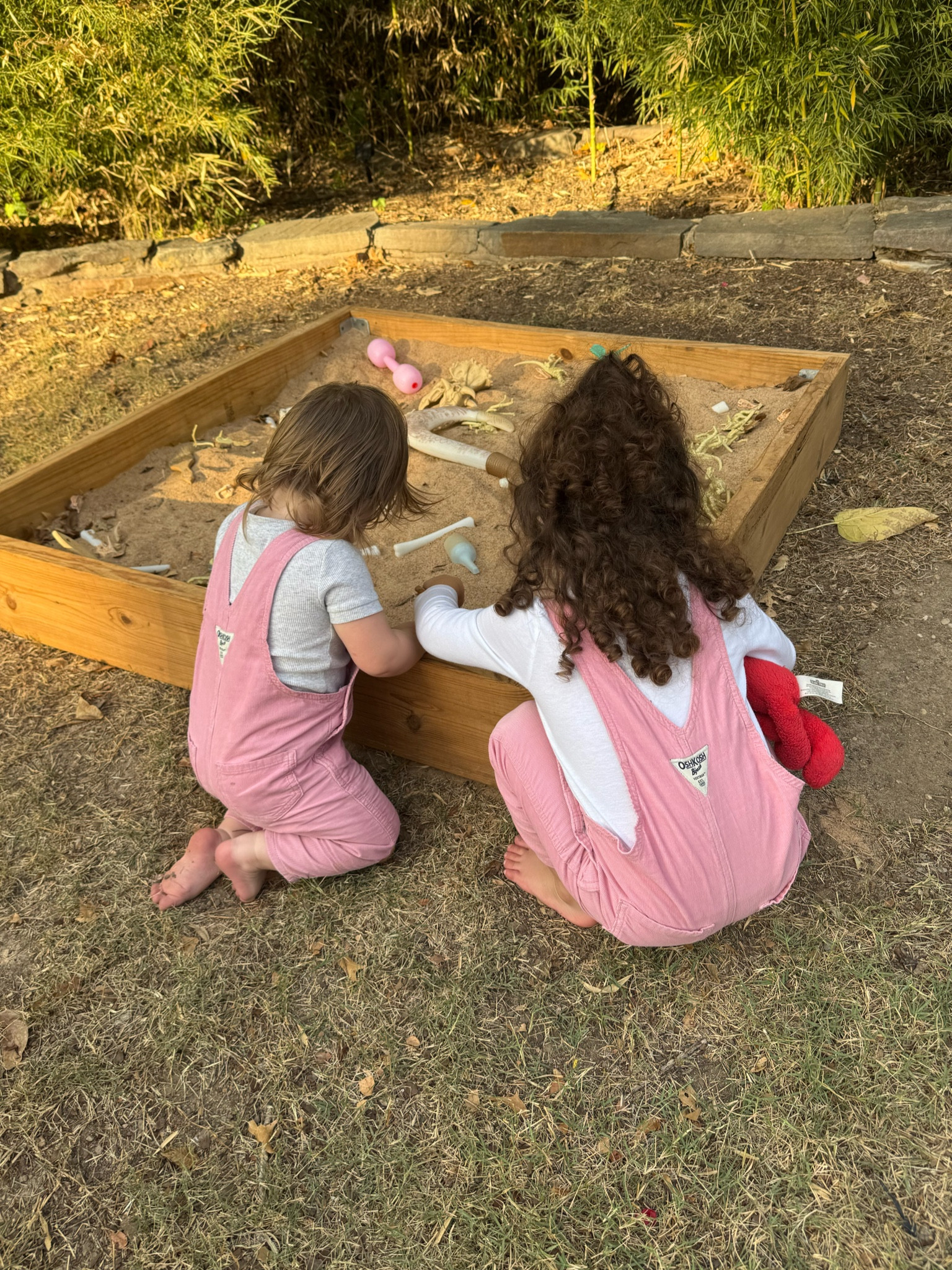 Toddler girls pink overalls

#LTKKids