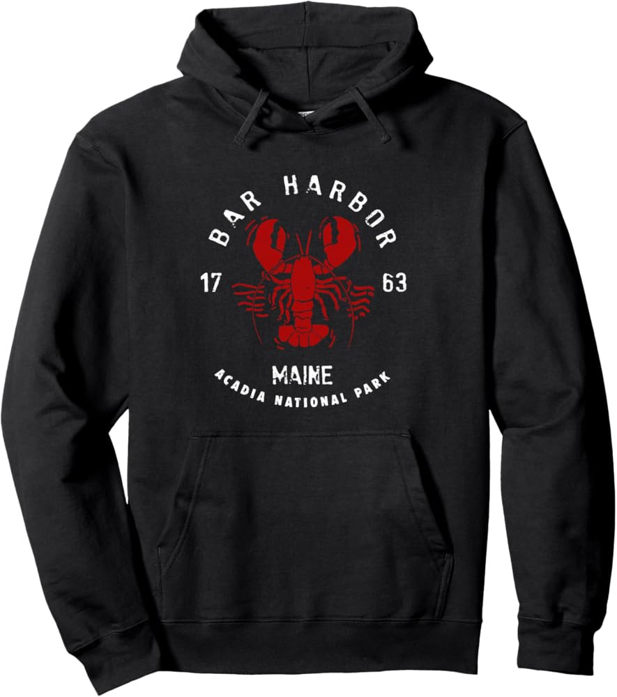 Vintage Acadia National Park Bar Harbor Maine Lobster Funny Pullover Hoodie | Amazon (US)