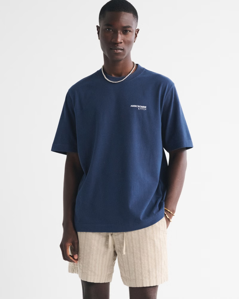 Premium Heavyweight 2.0 Duck Lake Graphic Tee | Abercrombie & Fitch (US)