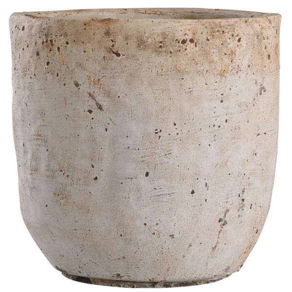 Feist Concrete Pot Planter | Wayfair North America