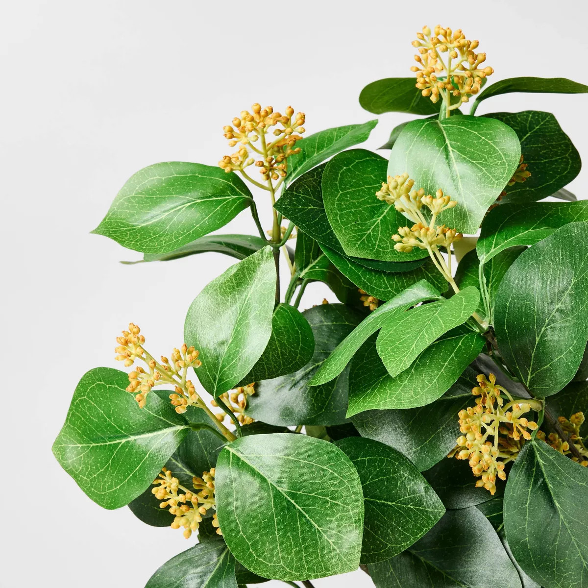 Privet Seeded Potted Artificial Arrangement - Threshold™ designed with Studio McGee | Target