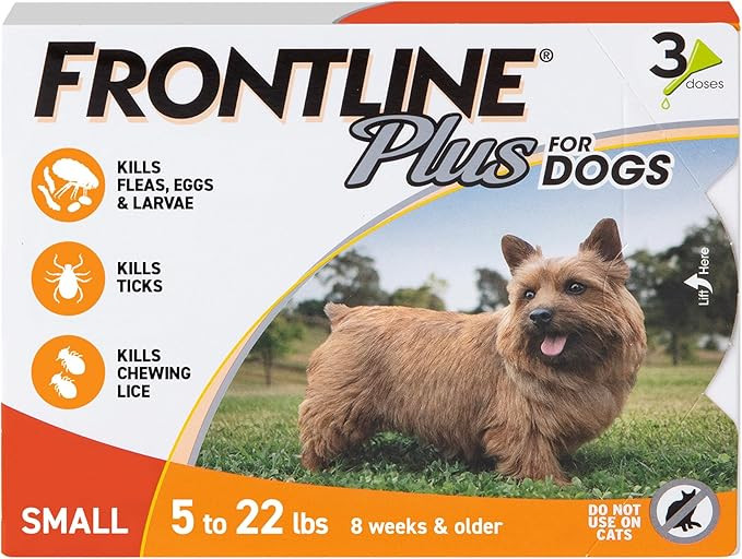 Amazon.com : FRONTLINE Plus Flea & Tick Spot Treatment for Small Breed Dogs 5-22 lbs. (Orange) Co... | Amazon (US)