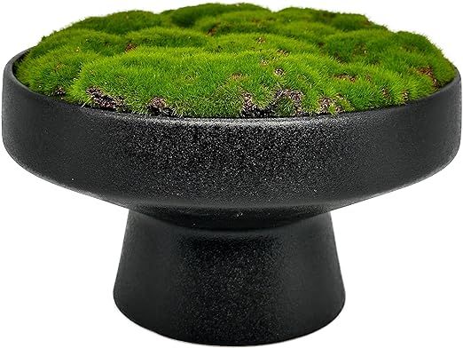 MD MACOMINE DESIGN Moss Bowl | 8" Diameter | Artificial | Ceramic Pedestal Bowl | Home Décor | Amazon (US)