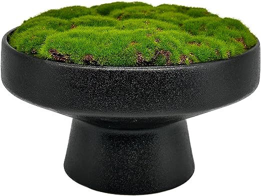 MD MACOMINE DESIGN Moss Bowl | 8" Diameter | Artificial | Ceramic Pedestal Bowl | Home Décor | Amazon (US)