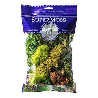 SuperMoss® Preserved Mixed Moss | 2 oz | Michaels® | Michaels Stores