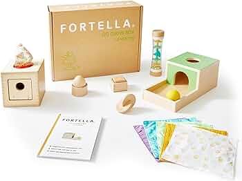 Fortella Go Grow Box, Montessori-Inspired Toys for Babies and Toddlers, Stage-Based Development T... | Amazon (US)
