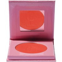 Trigwell Cosmetics Cheek & Eye Blush 4.3g (Various Shades) - Burning Up | Look Fantastic (UK)