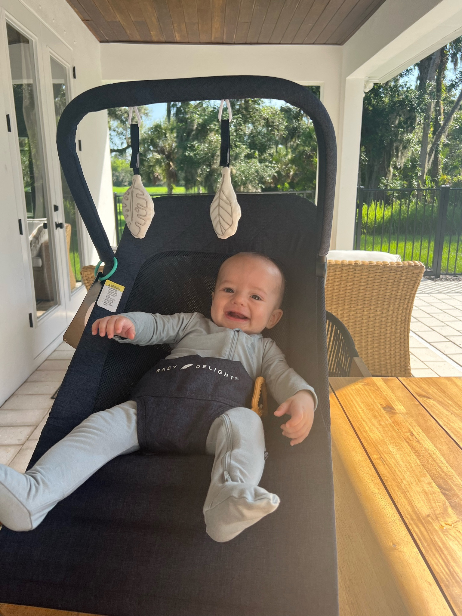 Our favorite baby bouncer!!  Love this thing !!

#LTKHome #LTKBaby #LTKBump