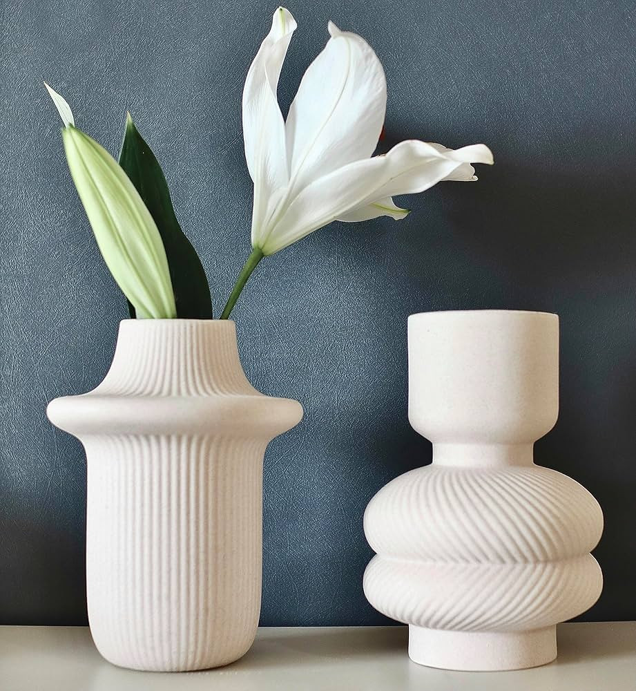 Carrot's Den Off White Ceramic Vase | Wide Top Opening Mouth, Ribbed Vase for Pampas, Boho Home D... | Amazon (US)
