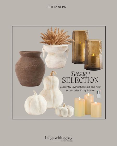 Currently loving these home decor accessories in my home!! From my new purchases - these beautiful hurricane glasses from Pottery Barn, my McGee and Co vases and these beautiful terracotta pumpkins from pottery barn!! The flameless candles are a must during the autumn and winter months. 

#LTKSeasonal #LTKsalealert #LTKhome