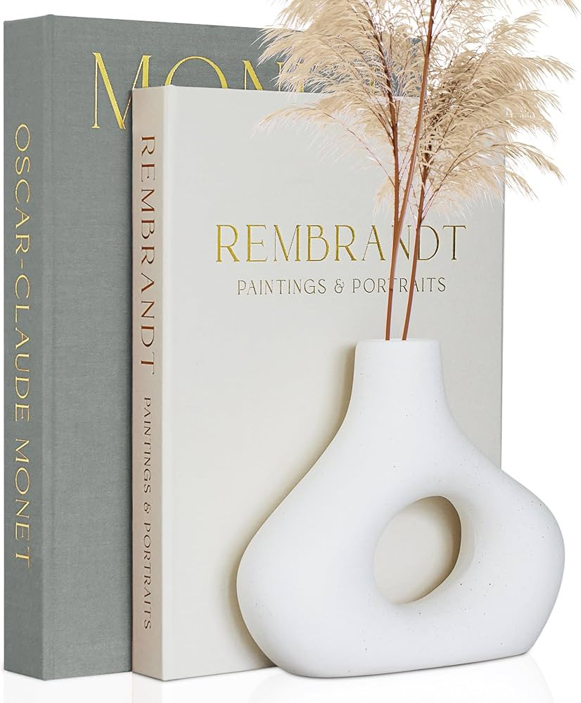 ZICOTO Beautiful Decorative Books - Set of 2 Linen Boxes Enhance Your Coffee Table, Bookshelf or ... | Amazon (US)