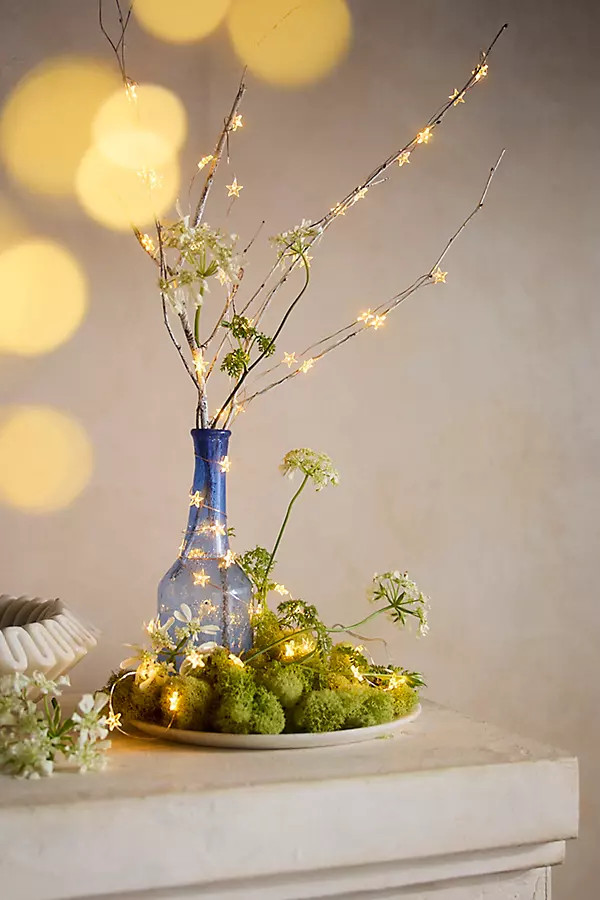 Stargazer Mini Star String Lights | Terrain
