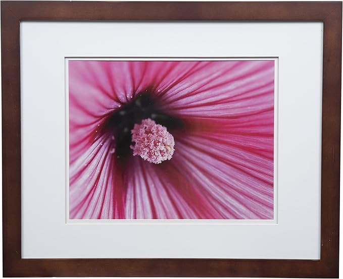Gallery Solutions 17FW1480 Wall Mount Double Mat Picture Frame, 11" x 14" With Mat or 16" x 20" W... | Amazon (US)