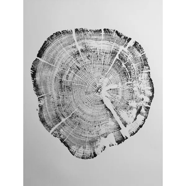 West Glacier National Park Tree Ring Print - Unframed Graphic Art Print on Paper | Wayfair North America