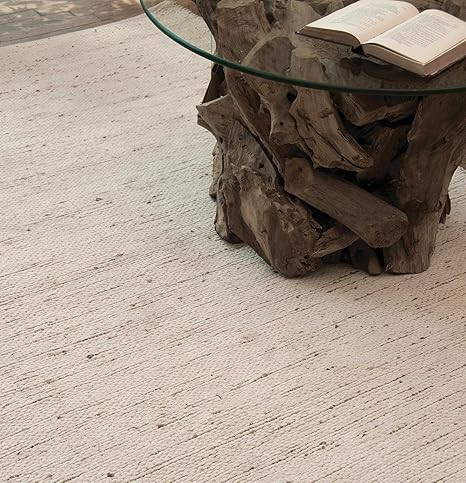 Uttermost 71000-9 Barhara Reversible Rug, 9' x 12' | Amazon (US)