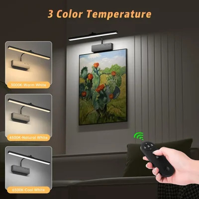 15.35'' Dimmable Wall Mount Picture Light with Remote | Wayfair North America