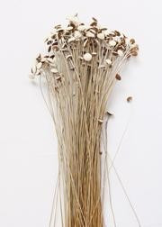 Natural Floral Buttons | Afloral (US)