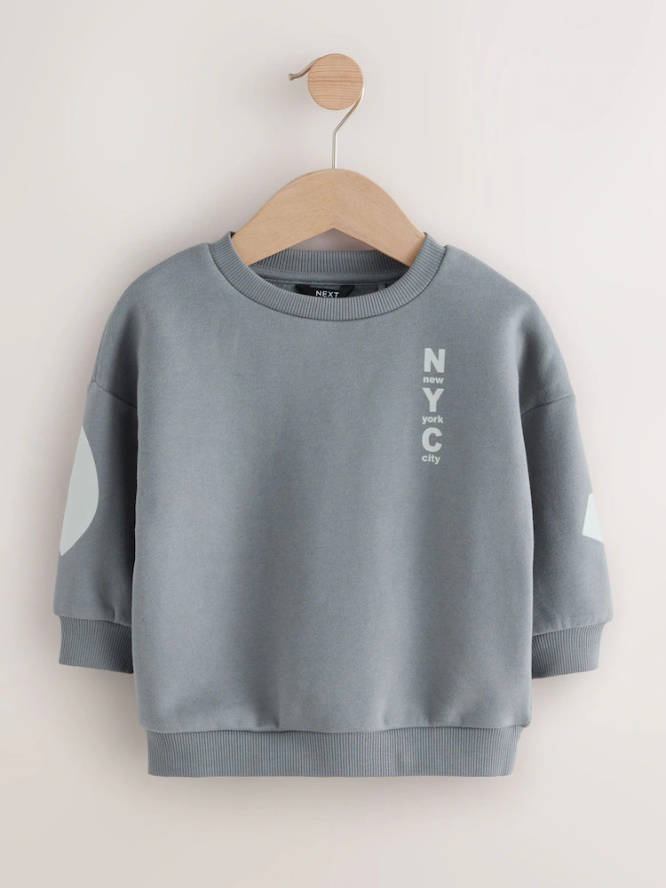 Grey Back Printed Crew Neck Jersey Sweatshirt (3mths-7yrs) | Next US