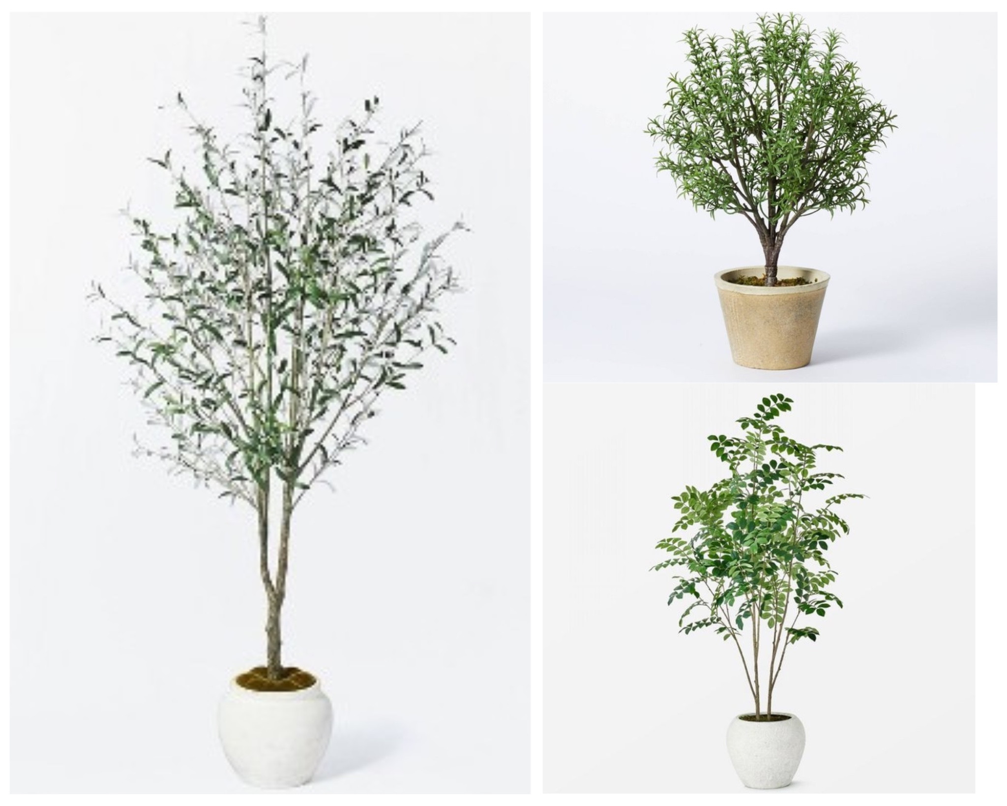 The Studio McGee olive tree is $75 off today! One of the most popular topiaries is also 30% off!
#homedecor #greenery #artificialgreenery #fauxolivetree #studiomcgeesale


#LTKsalealert #LTKunder100 #LTKhome