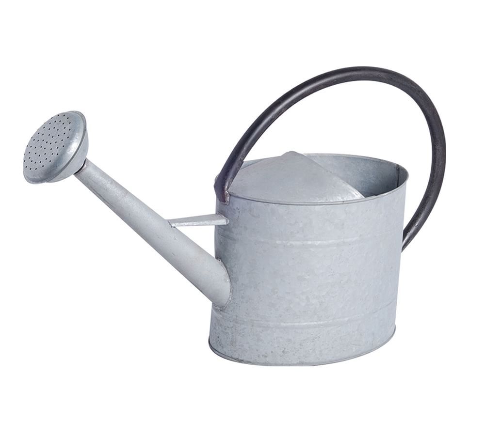 Aged Zinc Watering Cans | Pottery Barn (US)