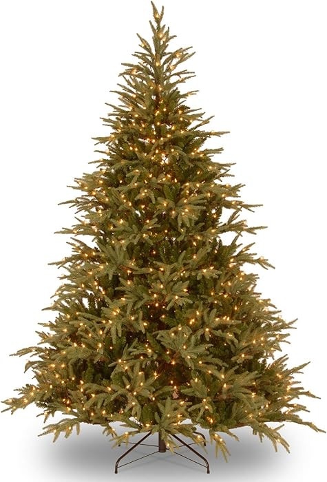 National Tree Company 7.5 ft Pre-Lit Fraser Grande Slim Artificial Christmas Tree, 1,000 LED Ligh... | Amazon (US)